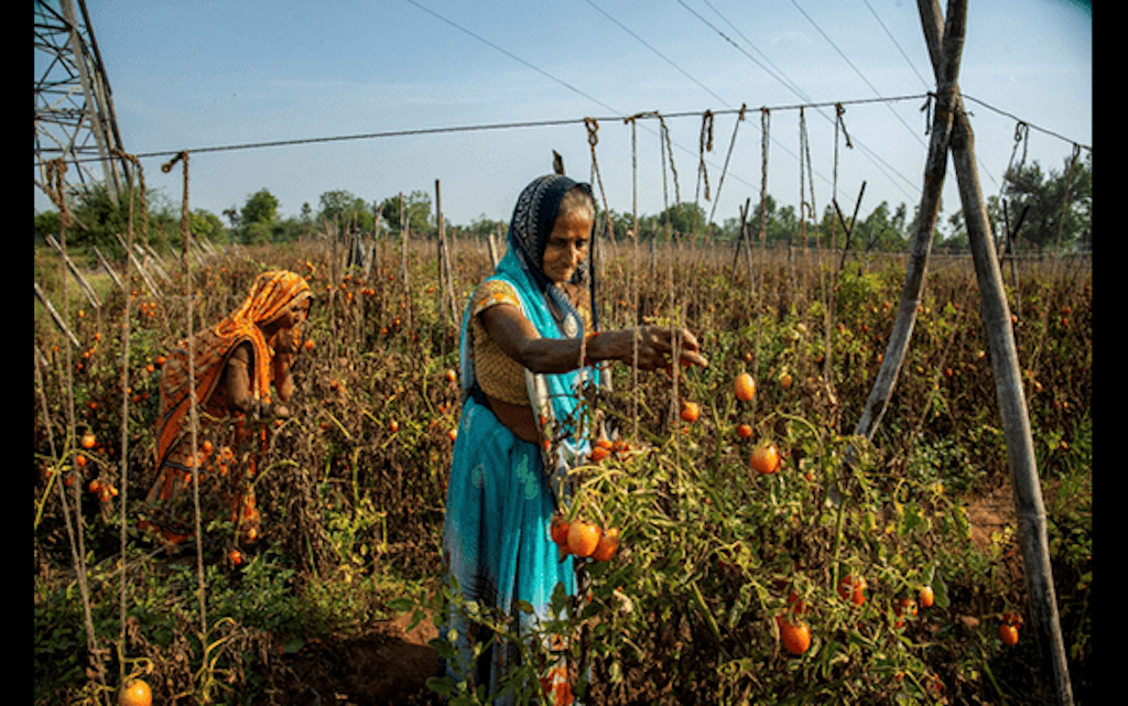 Environment And Natural Resource Management